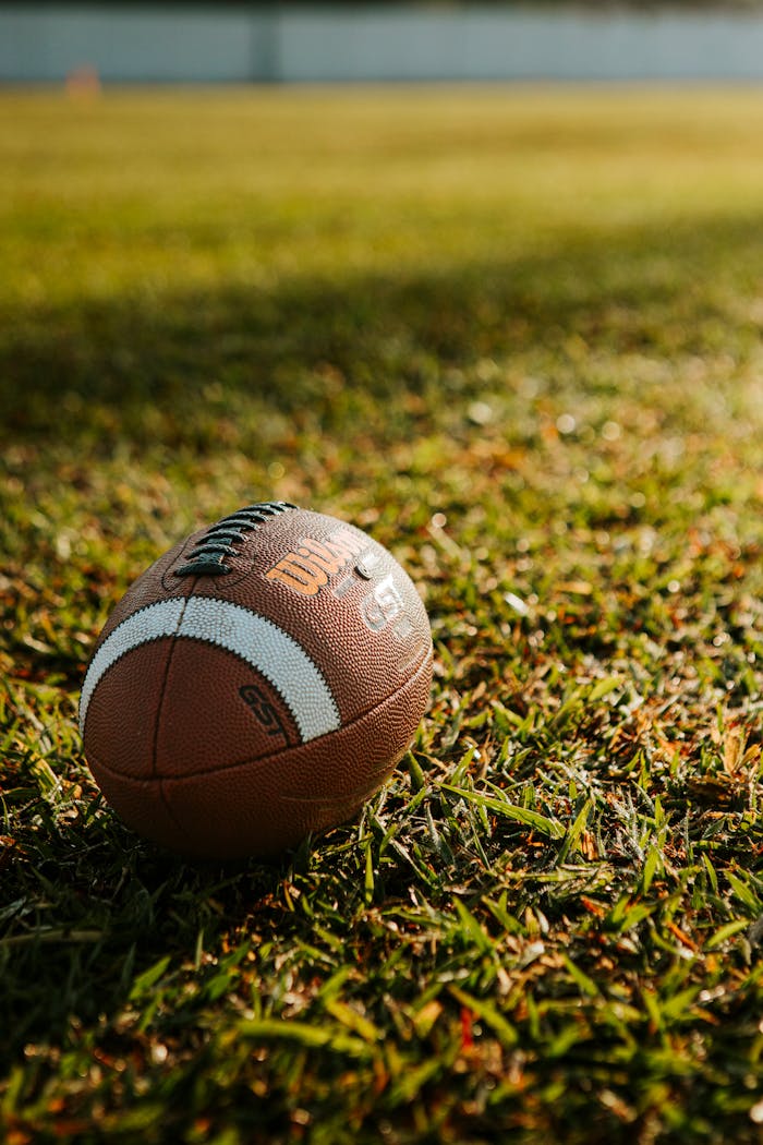 services-04 Close-up shot of a football resting on a sunlit grass field, ideal for sports themes.